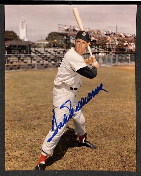 Ted Williams Signed 8x10 Photo (Autograph Shows Some Wear) - JSA Auction Letter